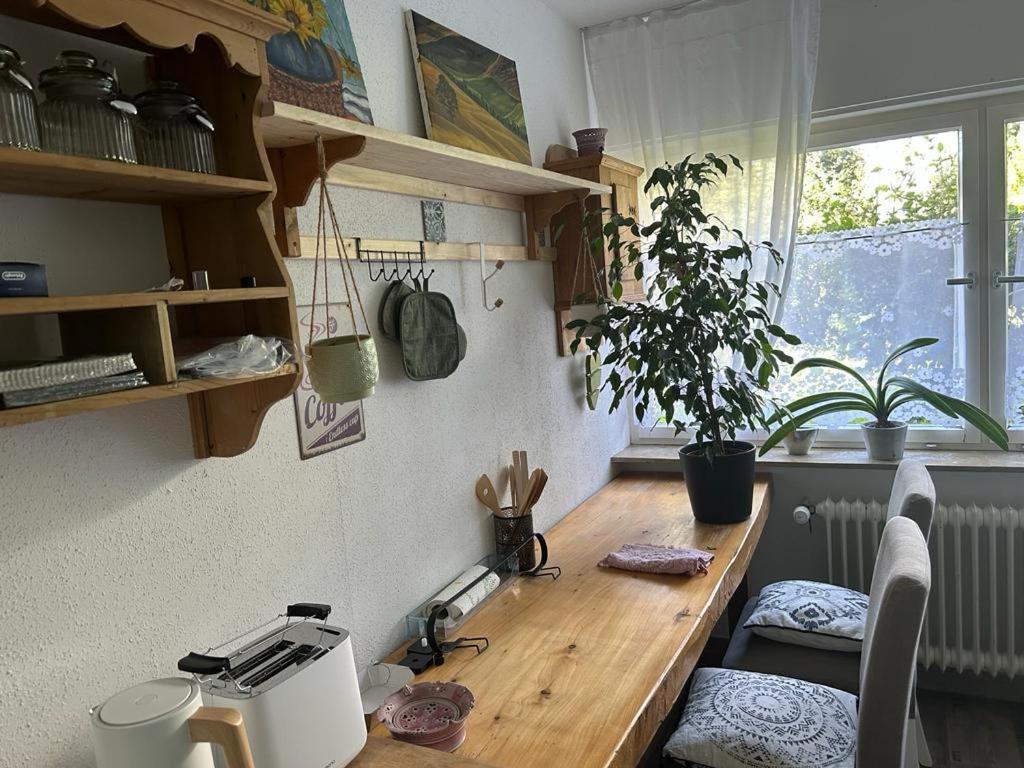 Ferienwohnung An Der Loipe Lichtenstein  ภายนอก รูปภาพ