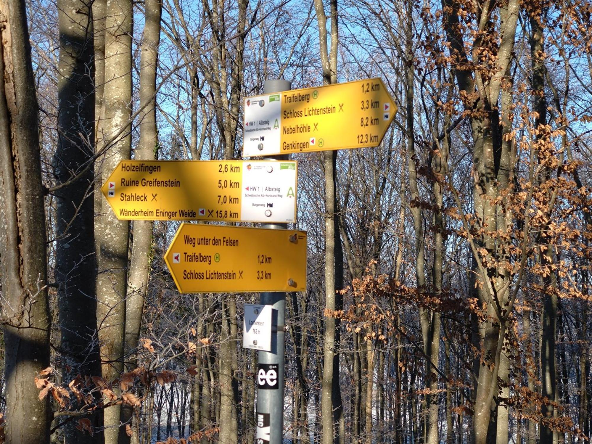 Ferienwohnung An Der Loipe Lichtenstein  ภายนอก รูปภาพ